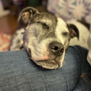 Fundraising Page: Rebecca Phelps